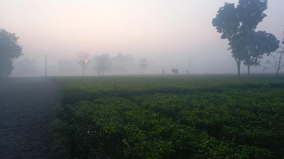 পঞ্চগড়ে কনকনে ঠান্ডার দাপট বেড়েছে, ৭ ডিগ্রির ঘরে তাপমাত্রা